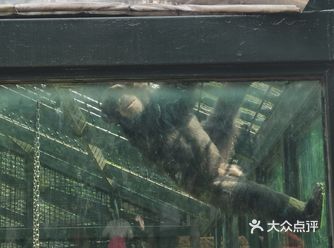 人好多，进门就是大游乐场，各种游乐设施