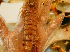 -白仁仔· 活烤海鲜 宵夜(豫园店)