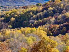 -塞罕坝国家级自然保护区