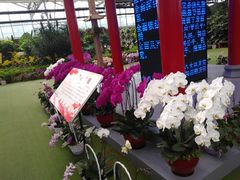 -兰陵国家农业公园