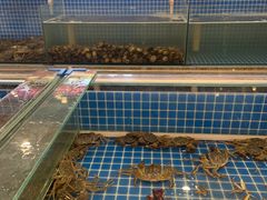 -牛道烤肉海鲜自助