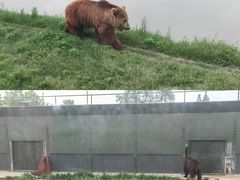-上海野生动物园