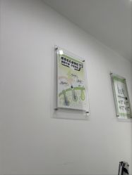 -凡碧诗毛孔清洁收细