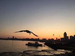 -星海蹦极娱乐