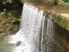 -武陵山森林公园