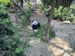 -河川生态园