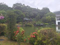 -谷丰健康凤贤居酒家