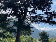 -秦岭终南山世界地质公园翠华山景区