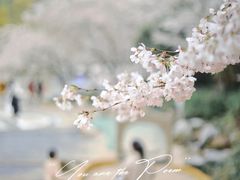 -杭州少年儿童公园