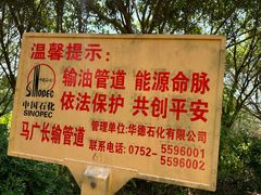 -大亚湾红树林城市湿地公园