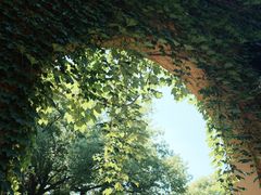 -兰拓相机租赁·二手(杭州店)