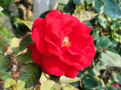 -人民公园(罗湖区)