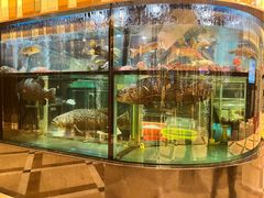 -金翠皇宫粤菜·点心·海鲜(科技园店)