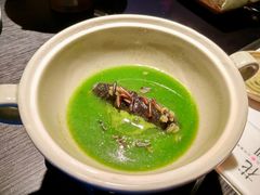 上汤野米海参-花潮料理艺食馆(成都万象城店)