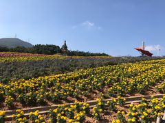 -东部华侨城