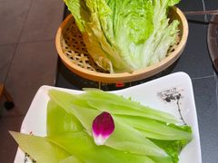 -淼福猪肚鸡·椰子鸡火锅(大沙地店)