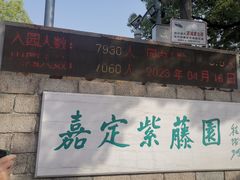-嘉定紫藤园