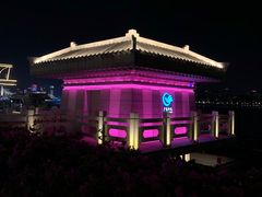 -珠江夜游广州塔·中大码头