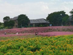 -江苏三台山国家森林公园