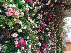 -辛德勒啤酒德餐厅