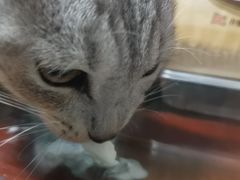 -麦当劳(容桂客运站得来速店)