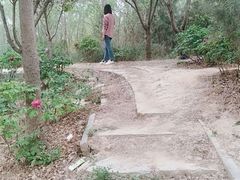 -曹州牡丹园