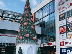 -浦江城市生活广场(江月路店)