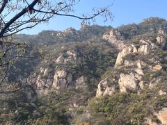 -大岭沟猕猴桃谷风景区
