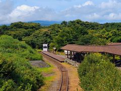 -济州森林小火车生态公园