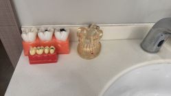 点击看大图 -睿宝儿科·眼科·口腔(静安大悦城门诊部)