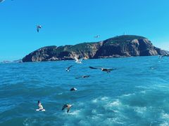 -海驴岛(荣成市)