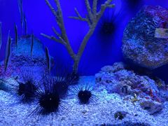 -上海海洋水族馆