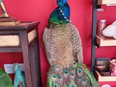 -兰纳泰式spa(古城店)