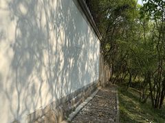 -上海佘山国家森林公园天马山园