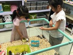 -钓仓鼠(洋桥北里小区店)