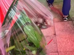 -三元里农贸市场