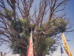 -沙漠世界地质公园