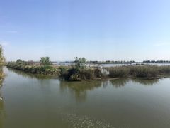 -合肥滨湖国家森林公园