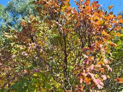 -森林公园(尖草坪区)