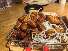 -鸽子窝(青塔店)