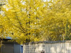 -和顺古镇