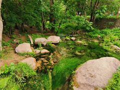 -玉渡山自然风景区