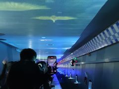 -白鹤梁水下博物馆