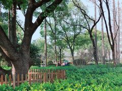 -徐家汇源景区-衡山公园