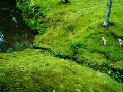 -西芳寺(苔寺)
