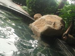 -威海天沐温泉度假区