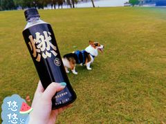 -上海月湖雕塑公园