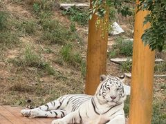 -石家庄市动物园