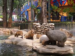 -北京野生动物园