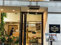 -VEGA VEGA 我行我素